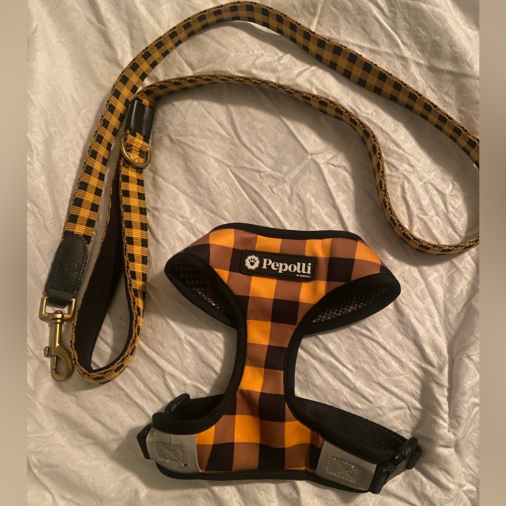 Size small pepolli harness and leash